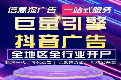 SEO百度推广策略：成功案例解析